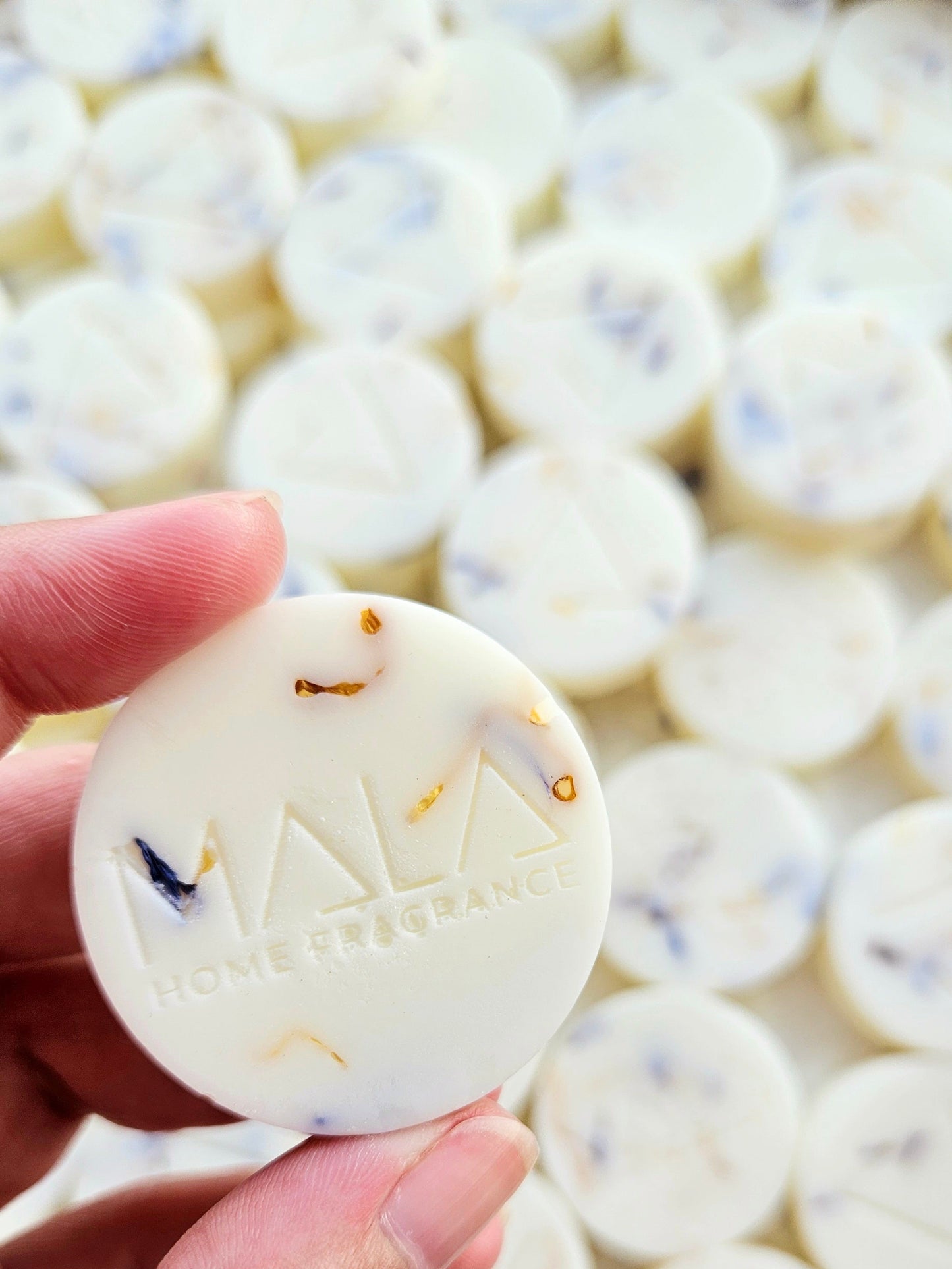 Sea + Citrus Wax Melts
