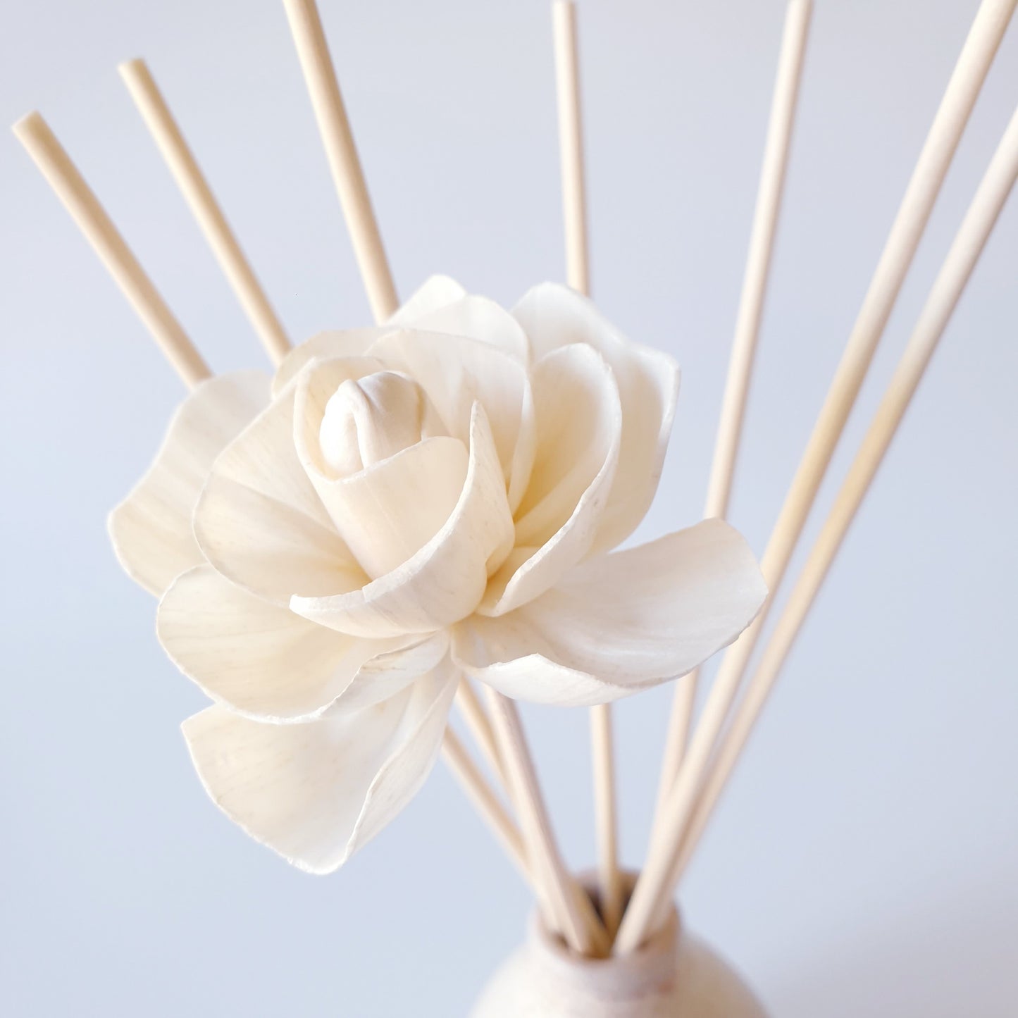 Sola Diffuser Flower - Rose Stick